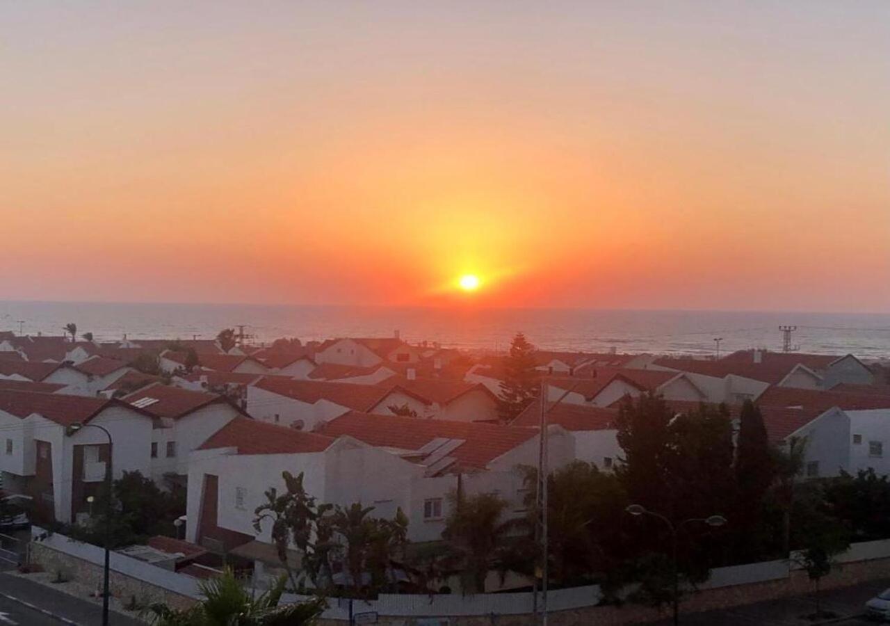 Studio Near The Sea نتانيا المظهر الخارجي الصورة
